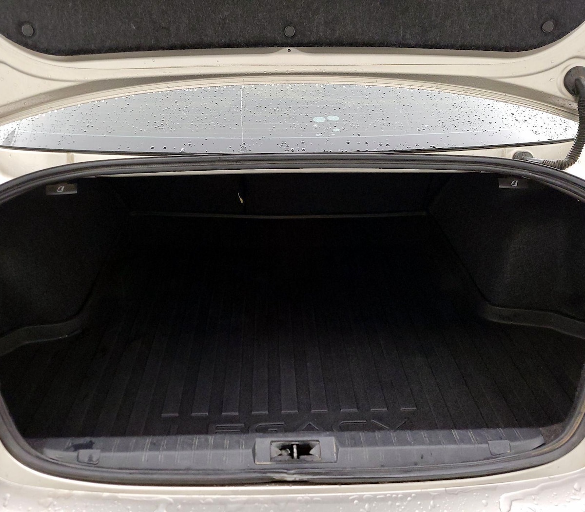 Trunk/Cargo (Seats Up)