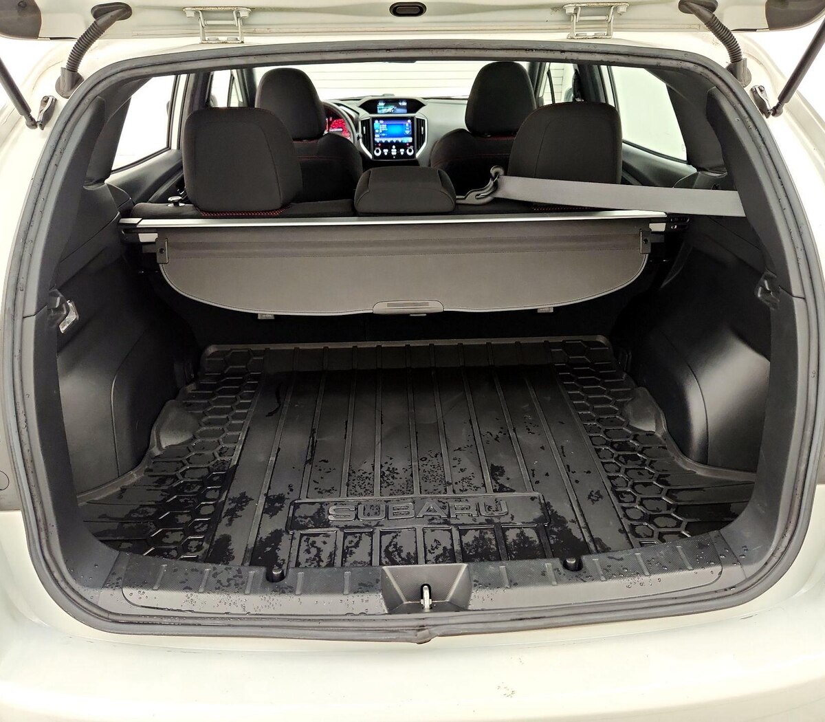 Trunk/Cargo (Seats Up)