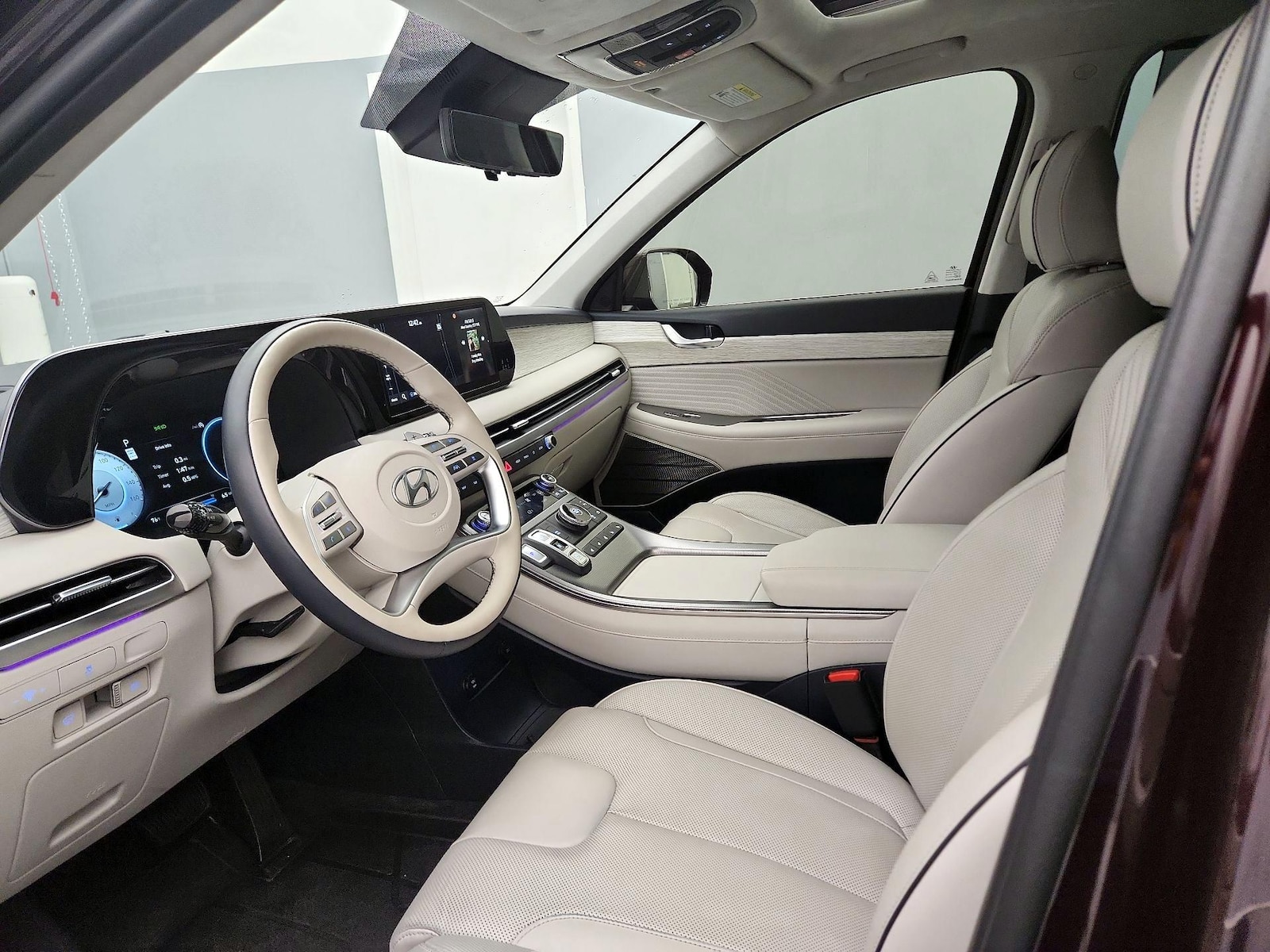2024 Hyundai Palisade Calligraphy - Photo 12