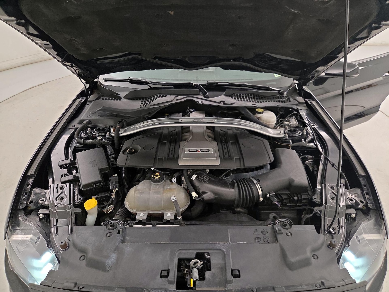 2019 Ford Mustang GT Premium - Photo 23