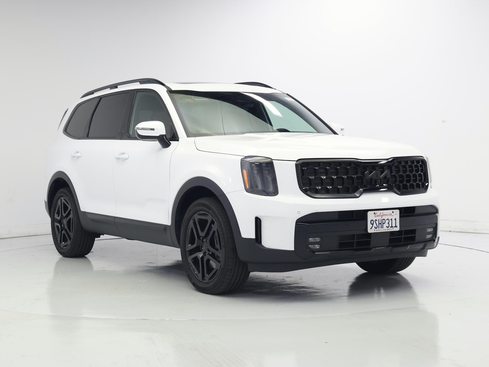 2025 Kia Telluride SX X-Line - Photo 2