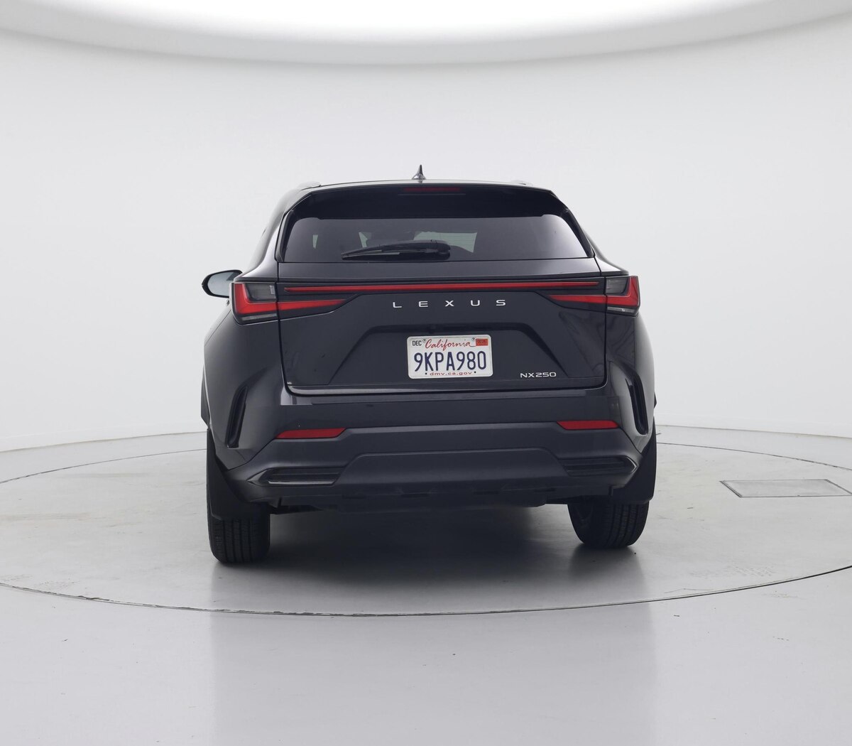 Rear