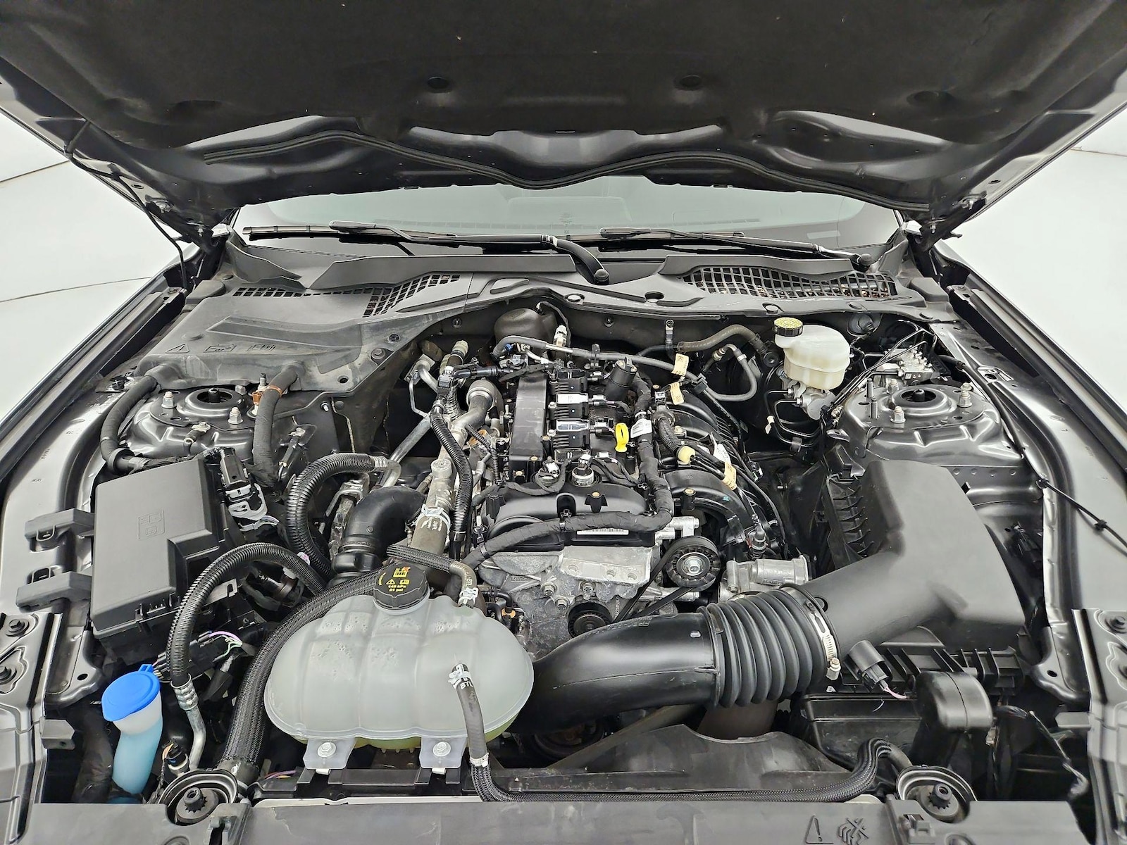 2023 Ford Mustang EcoBoost - Photo 20