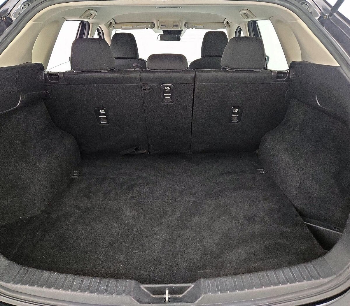 Trunk/Cargo (Seats Up)