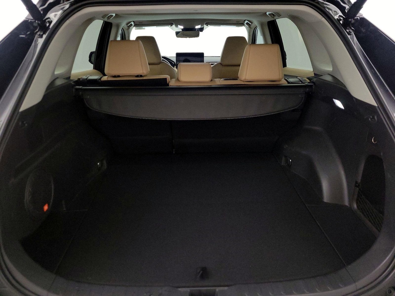 2025 Toyota RAV4 Limited - Photo 22
