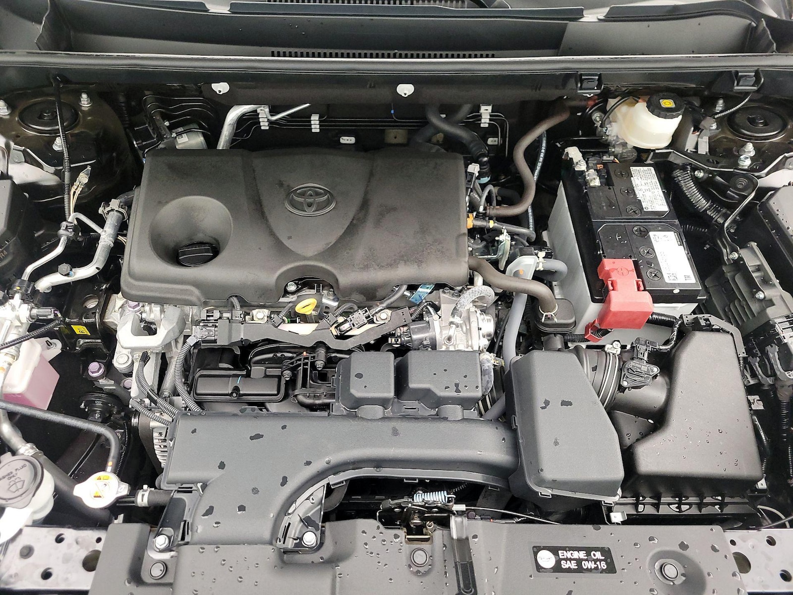 2025 Toyota RAV4 Limited - Photo 23