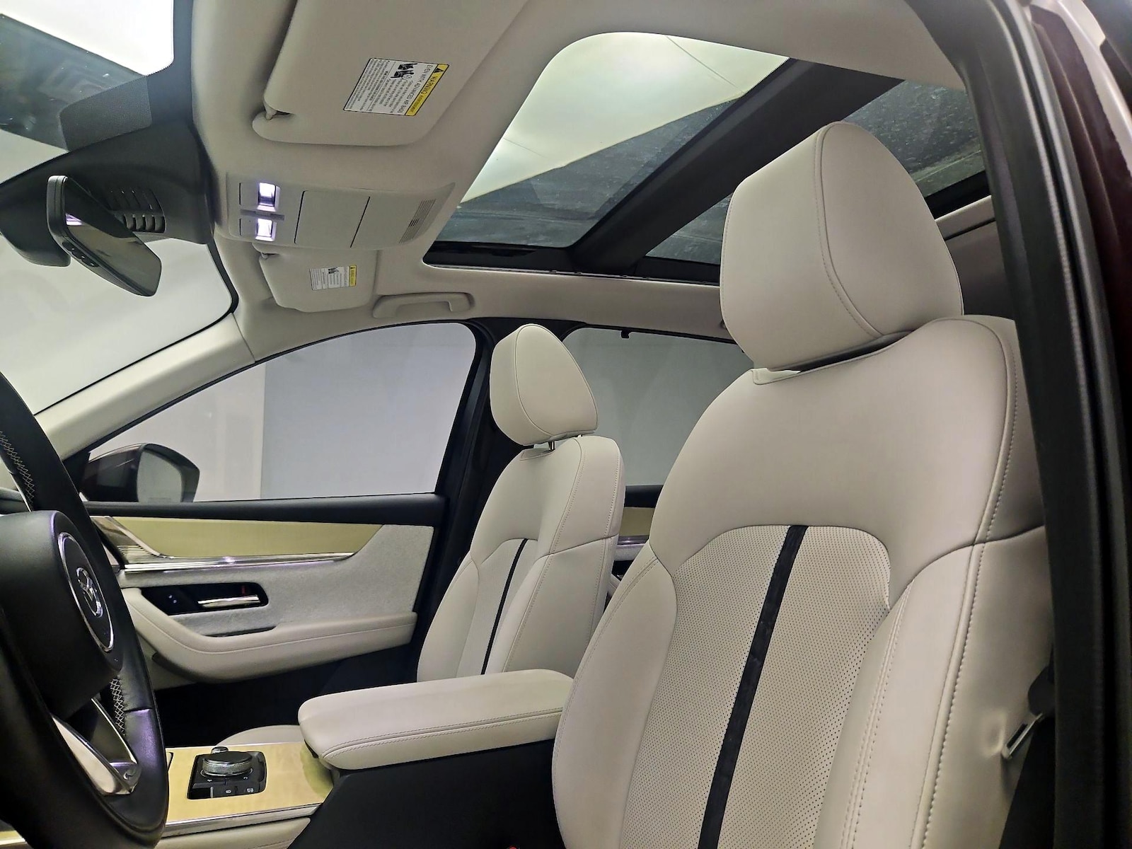Panoramic Sunroof