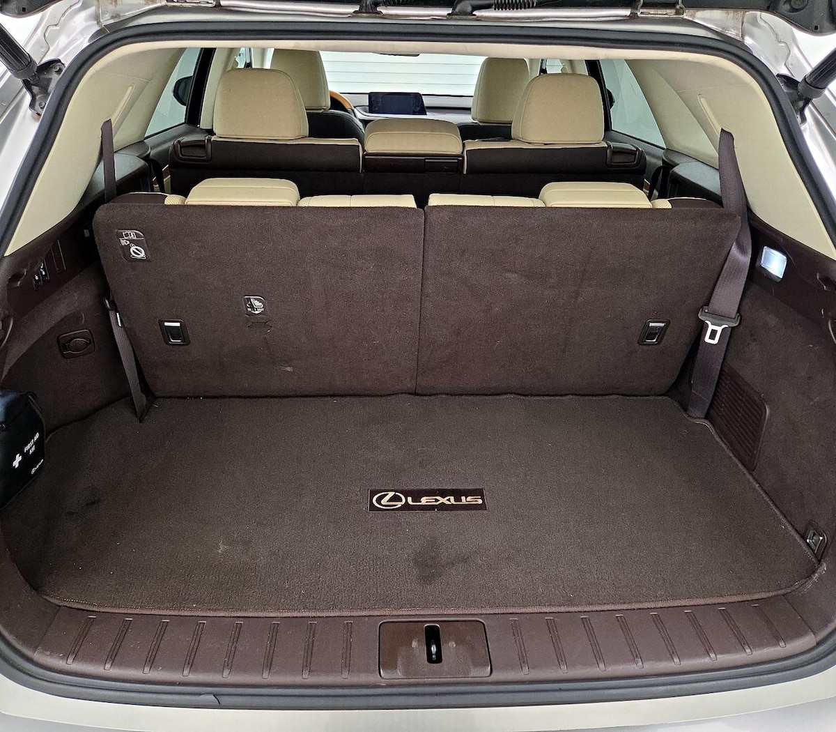 Trunk/Cargo (Seats Up)
