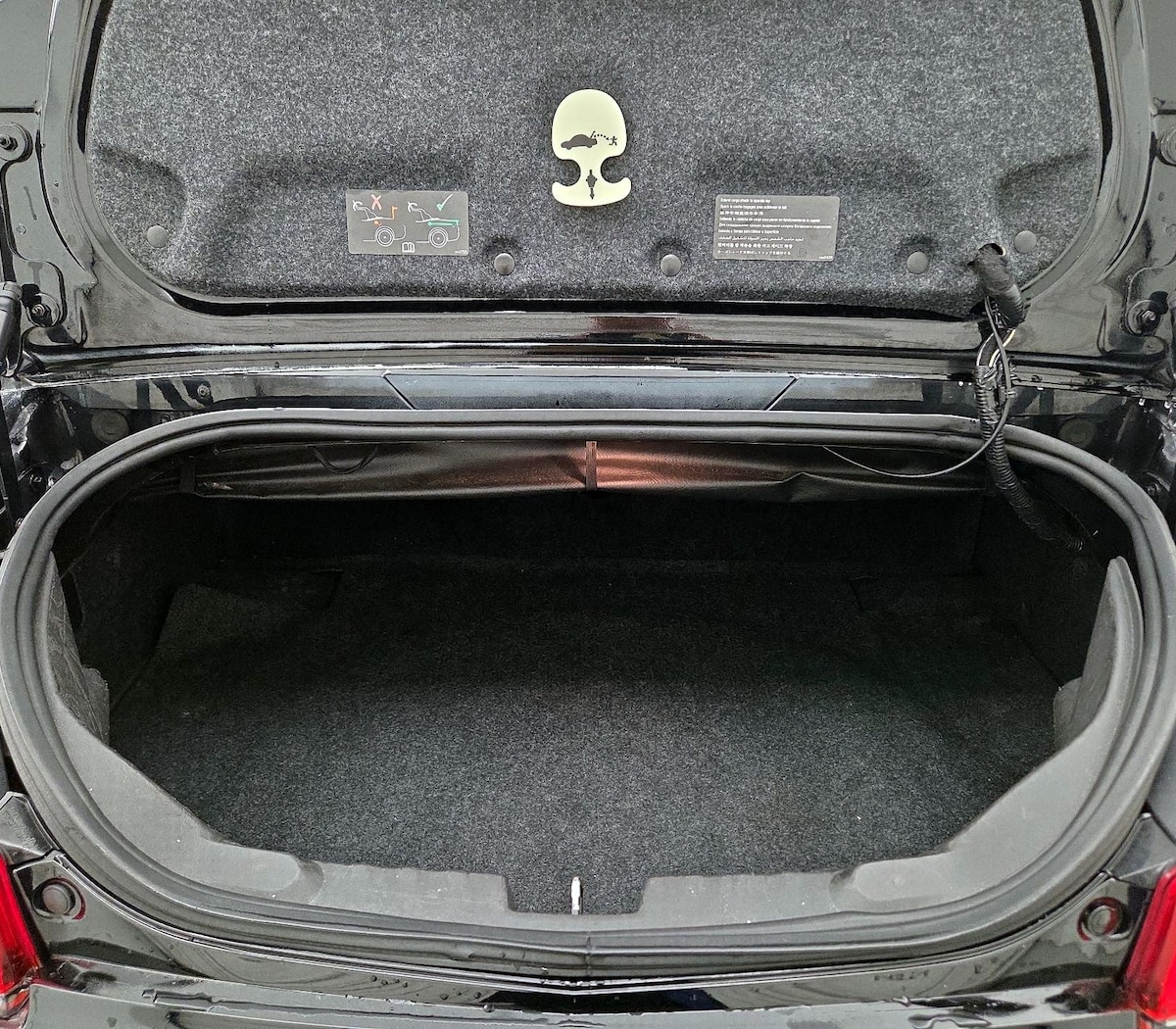 Trunk/Cargo (Seats Up)