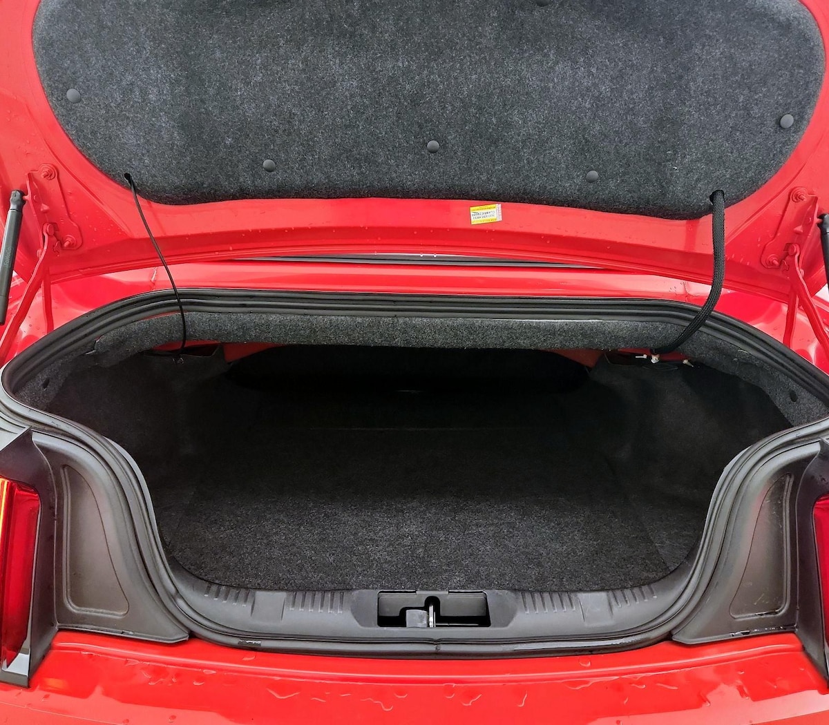 Trunk/Cargo (Seats Up)
