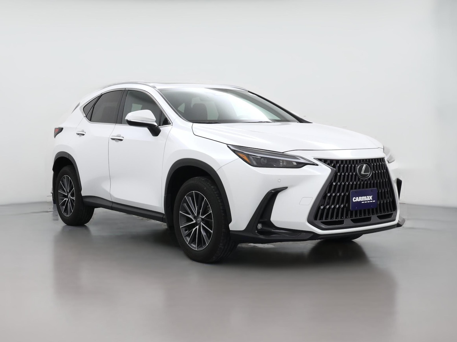 2025 Lexus NX