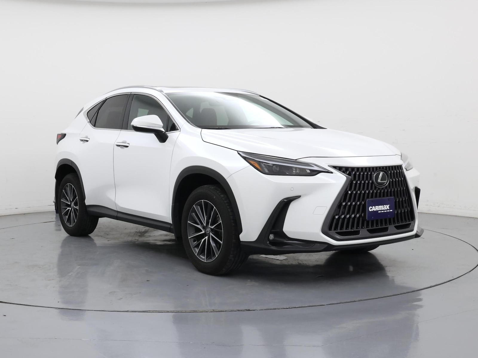 2025 Lexus NX 350 - Photo 2