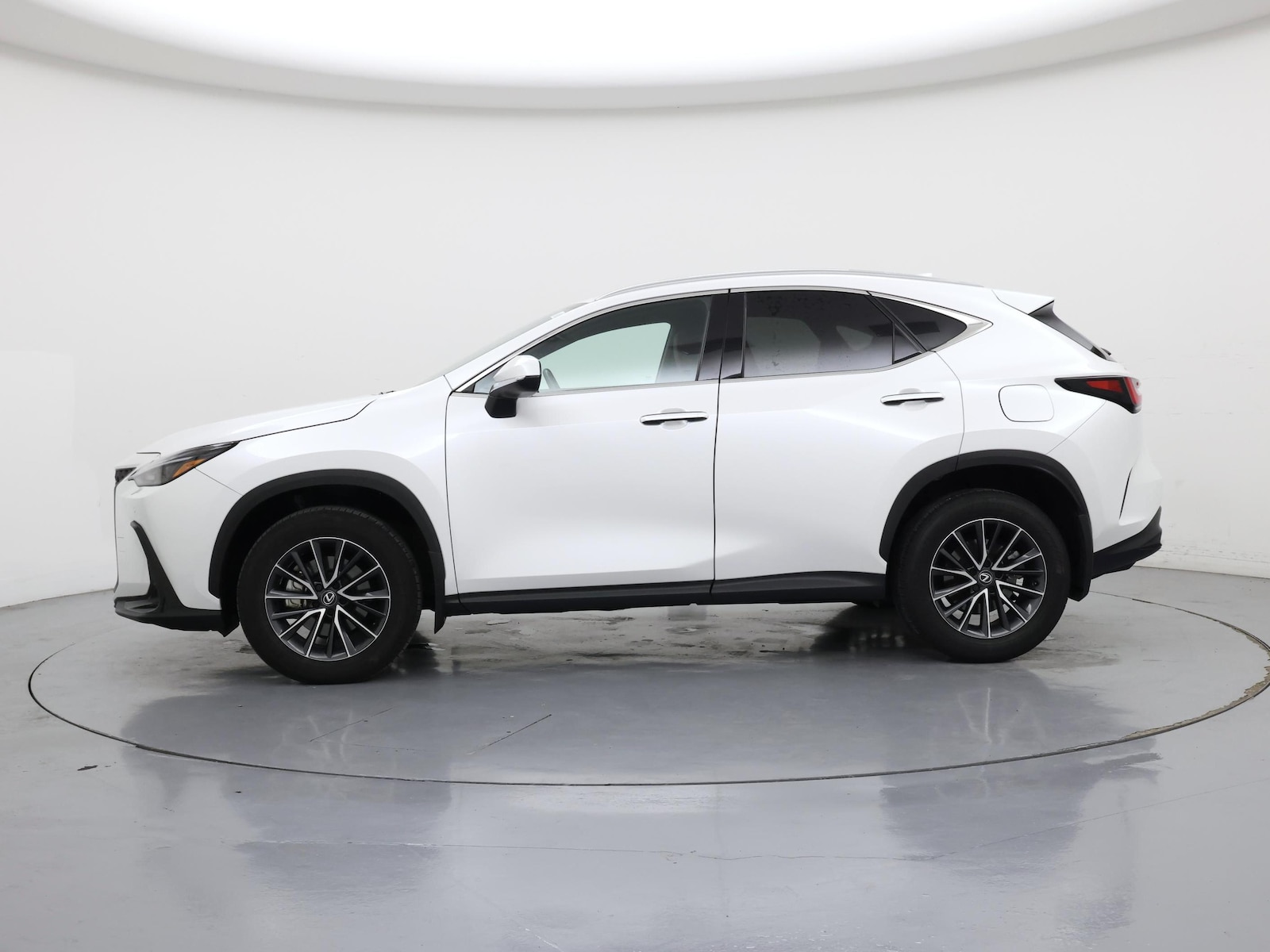 2025 Lexus NX 350 - Photo 4