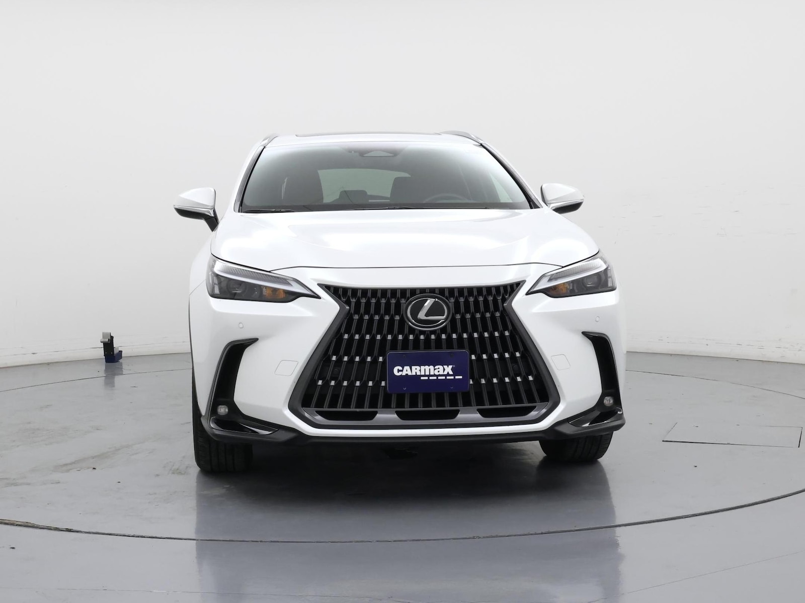 2025 Lexus NX 350 - Photo 6