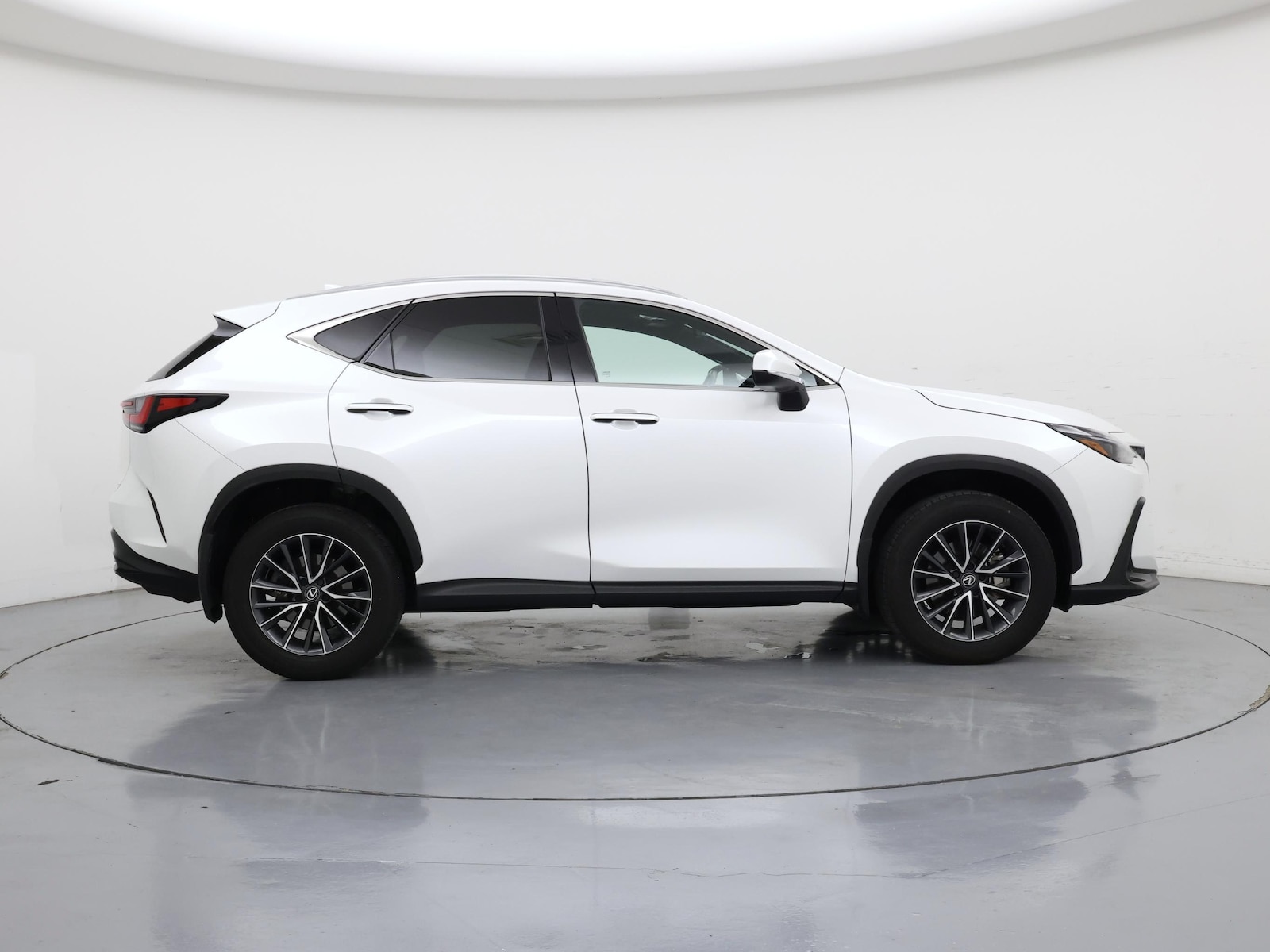 2025 Lexus NX 350 - Photo 8
