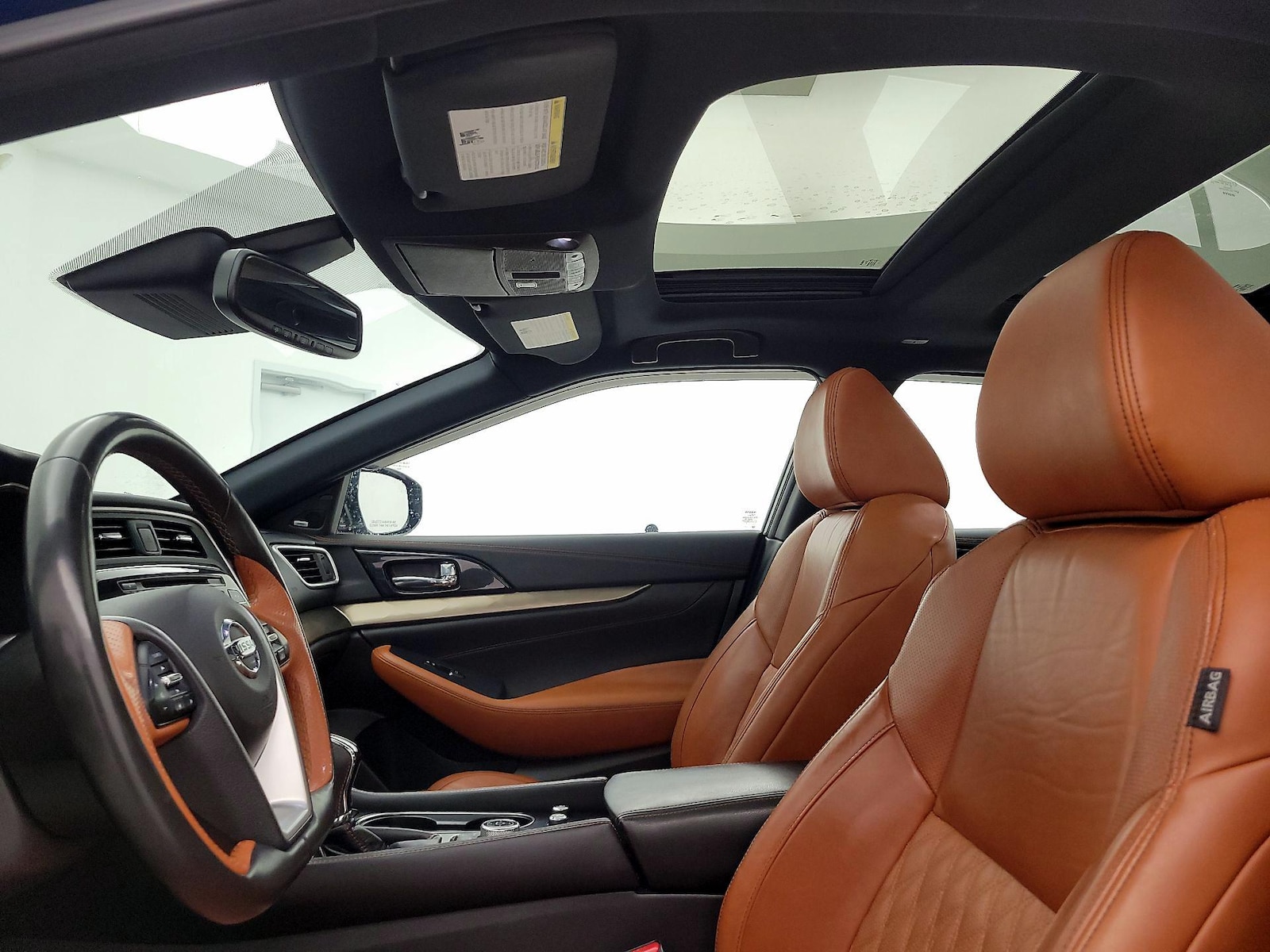 Panoramic Sunroof & Skylight(s)