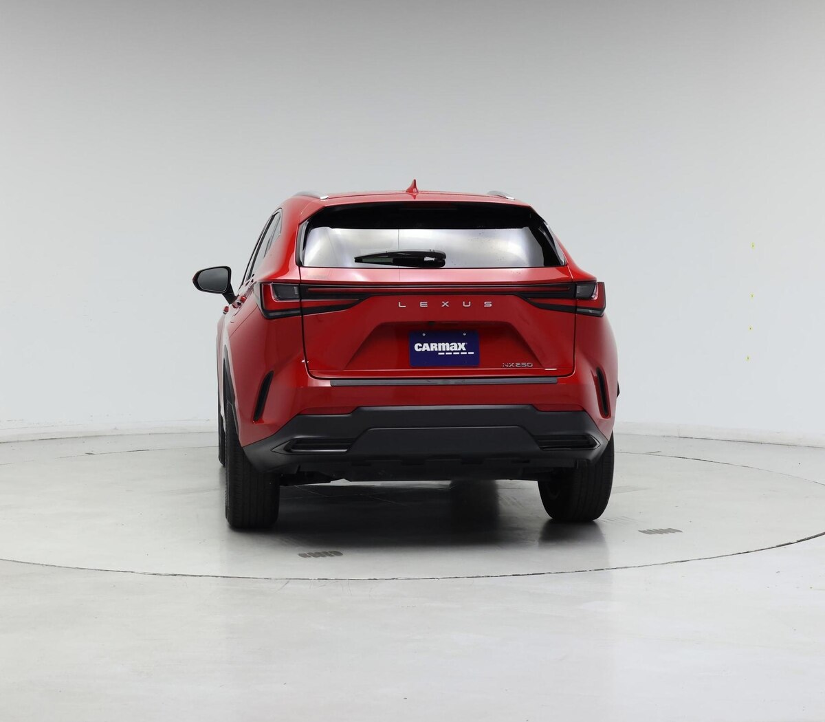 Rear