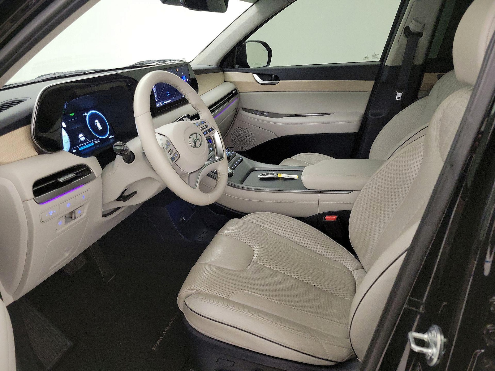 2024 Hyundai Palisade Limited - Photo 12