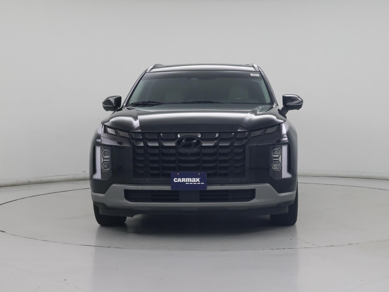 2024 Hyundai Palisade Limited - Photo 6