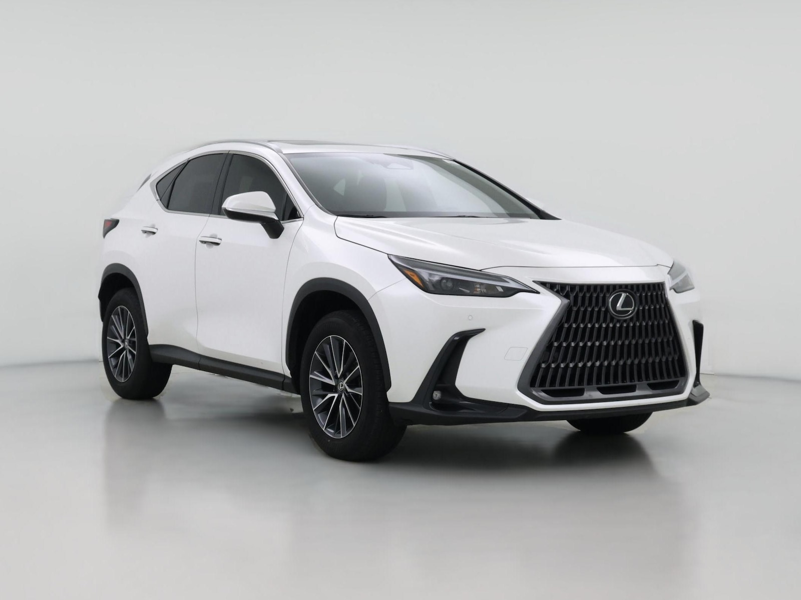 2025 Lexus NX