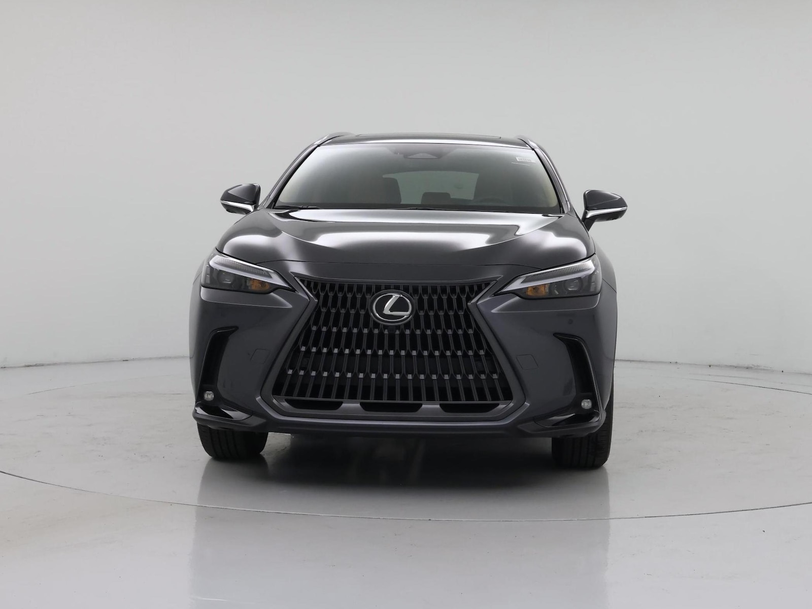 2026 Lexus NX 350 - Photo 6