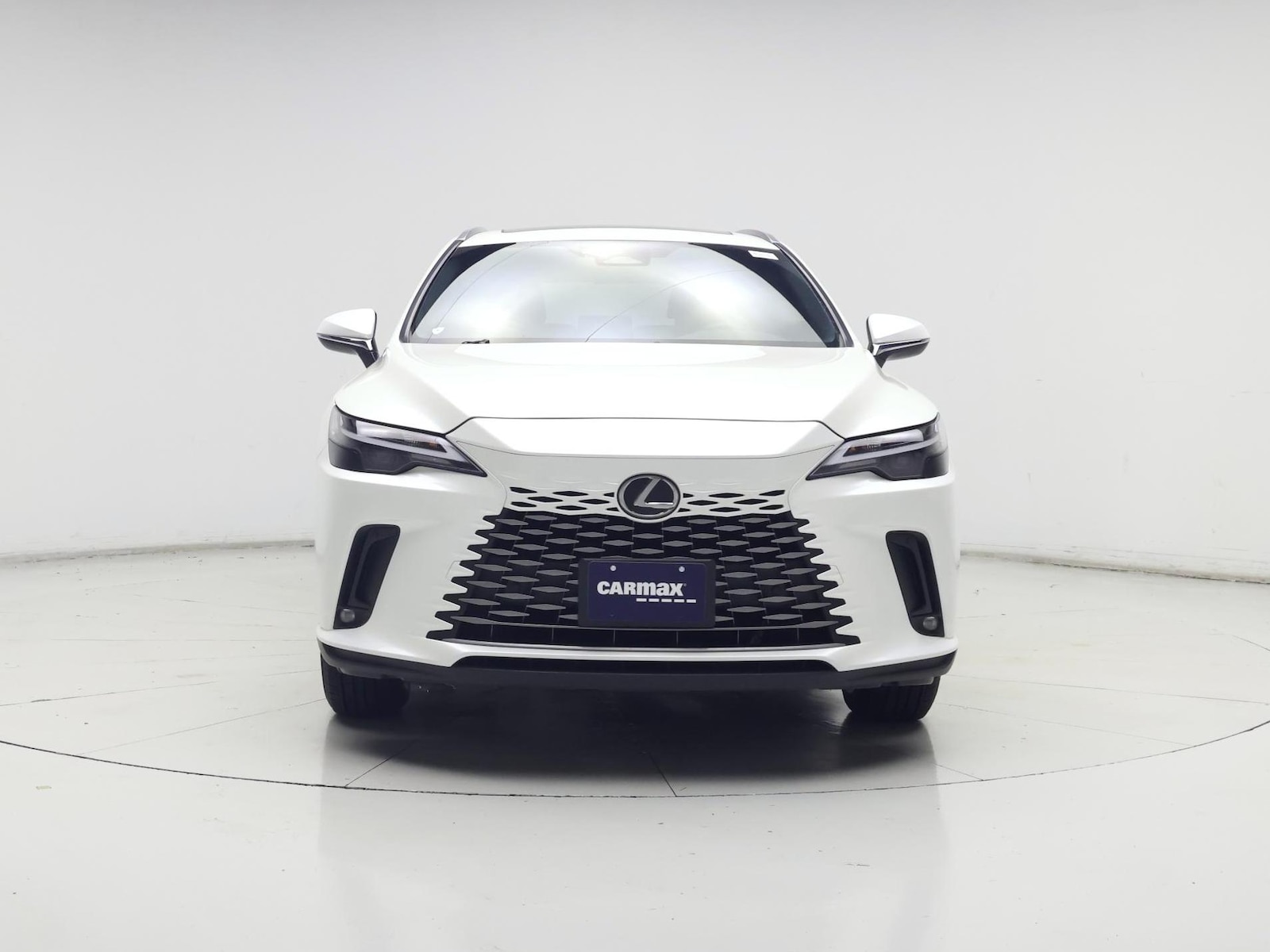 2024 Lexus RX 350 - Photo 6