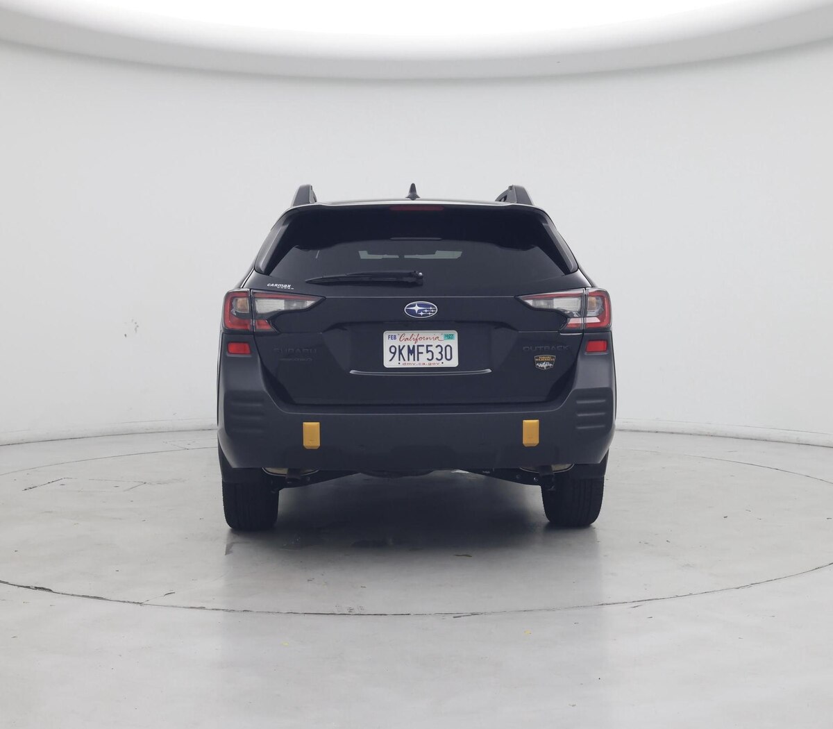 Rear