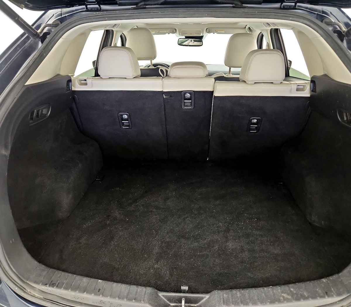 Trunk/Cargo (Seats Up)