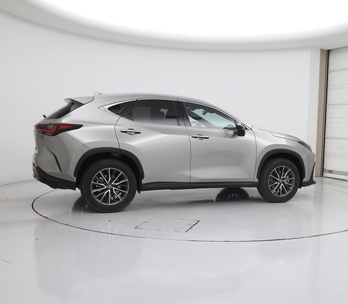Rear
