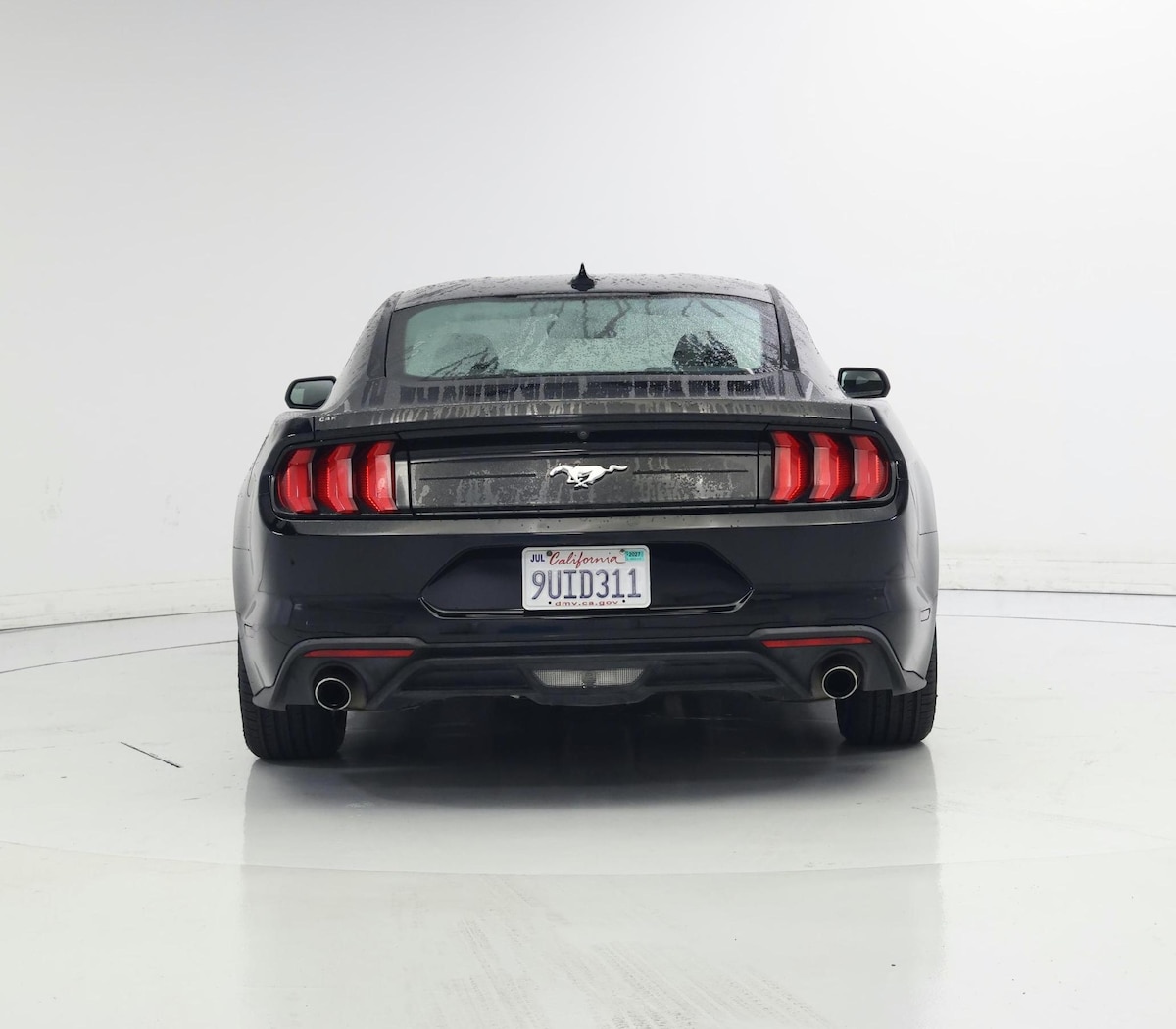 Rear