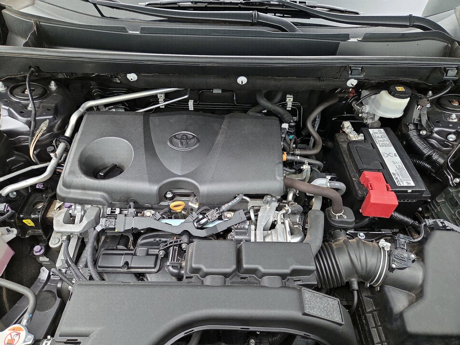 2019 Toyota RAV4 XLE Premium - Photo 23