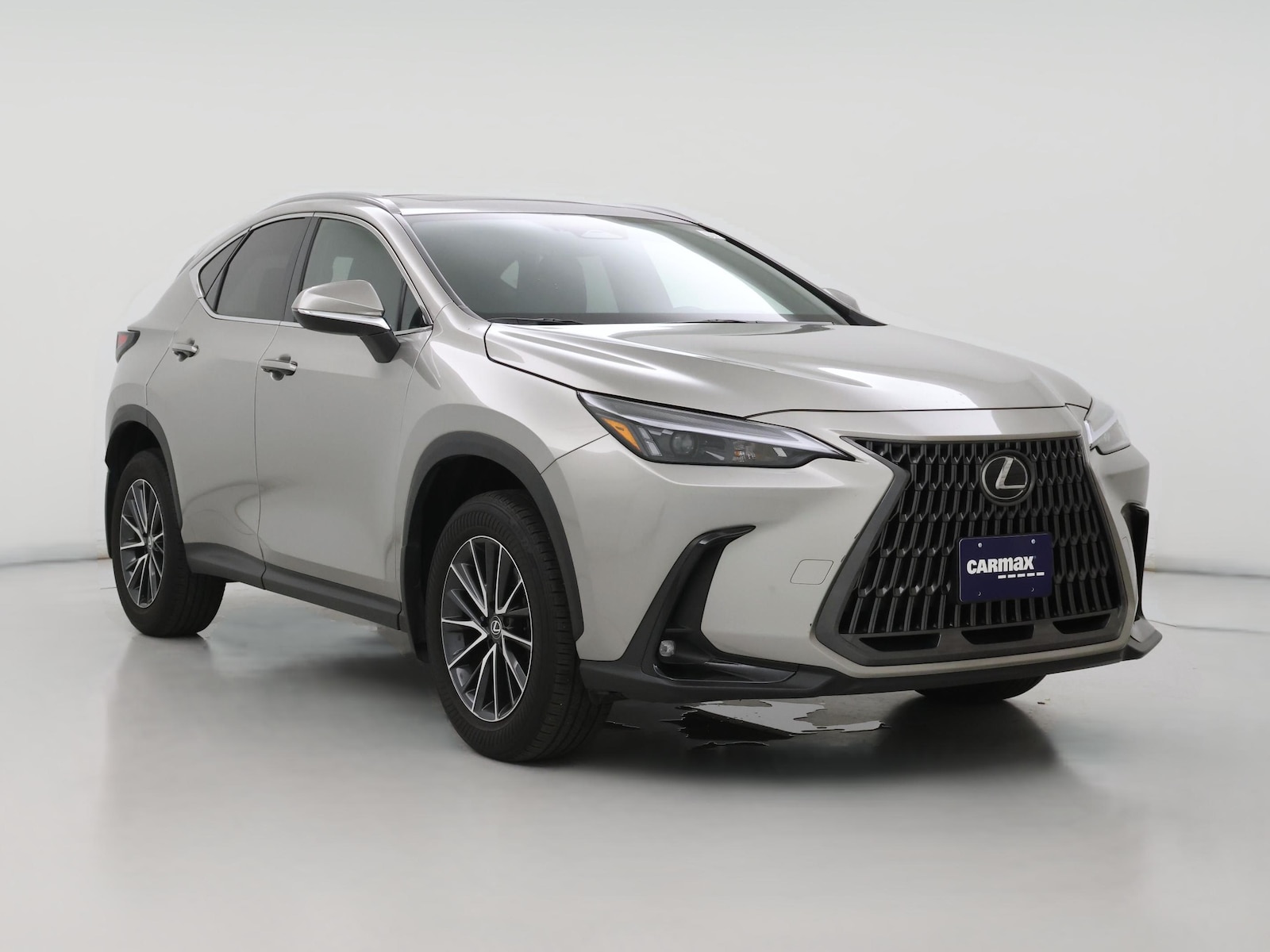 2024 Lexus NX