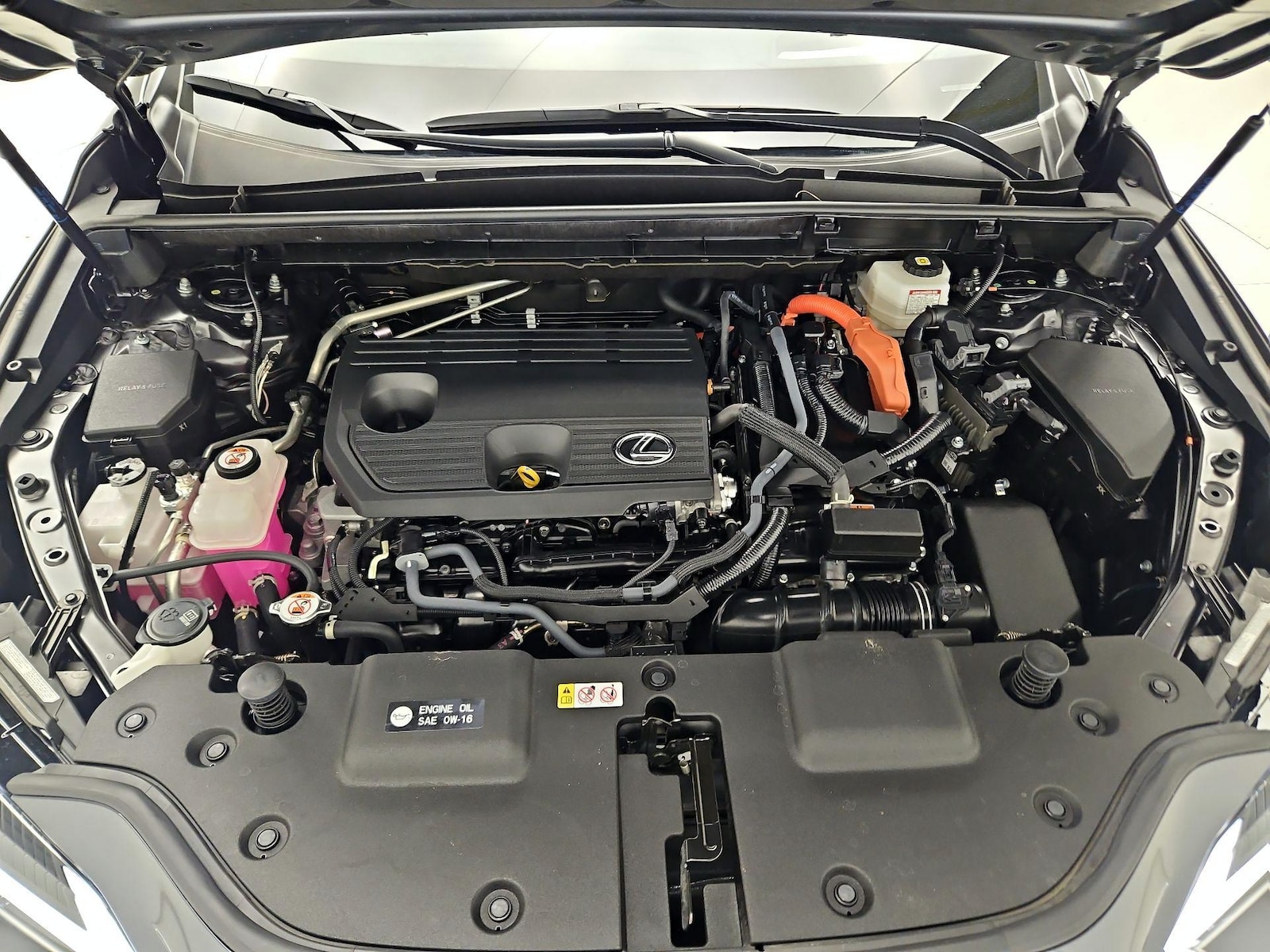 Photo 20