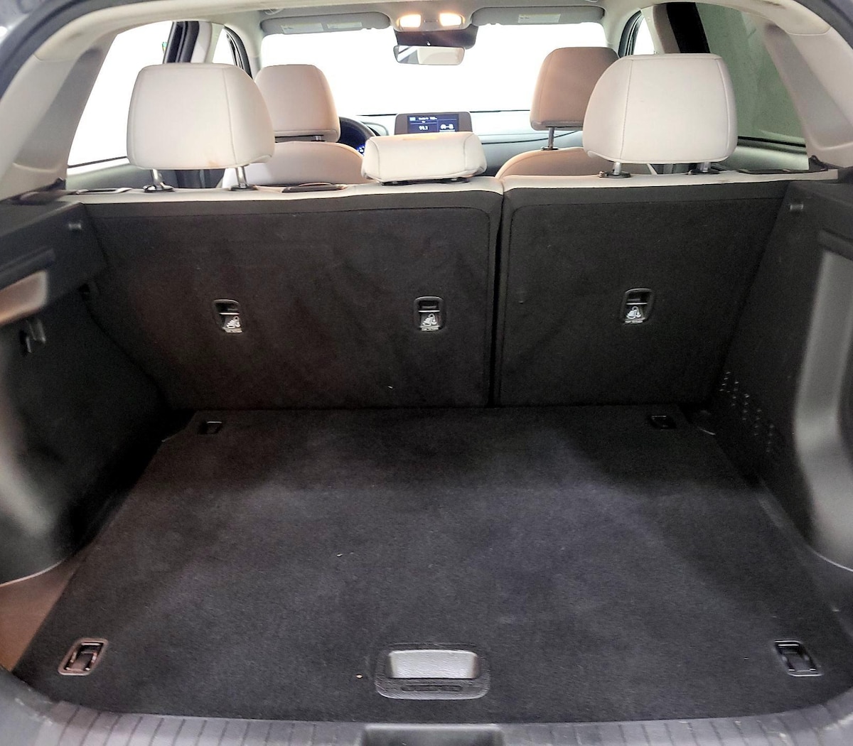 Trunk/Cargo (Seats Up)