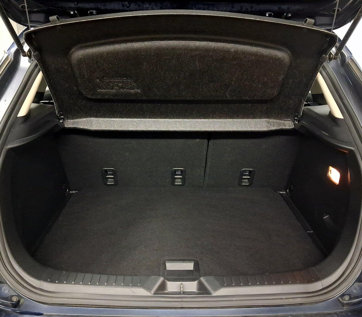 Trunk/Cargo (Seats Up)