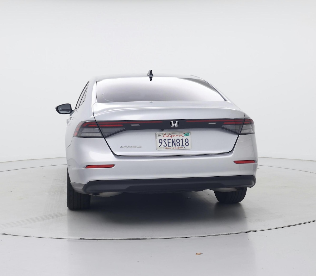 Rear