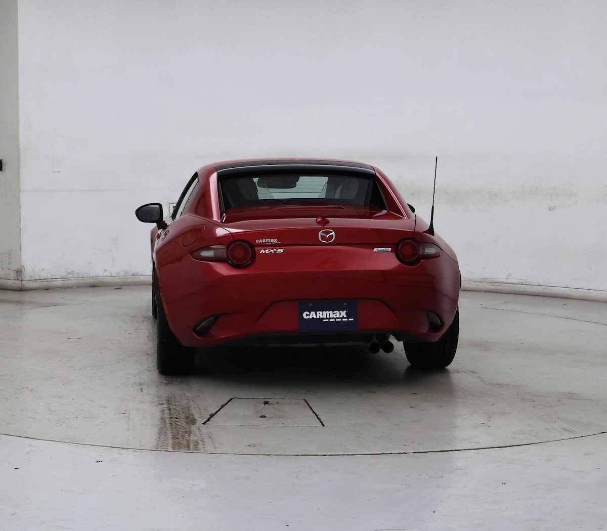 Rear
