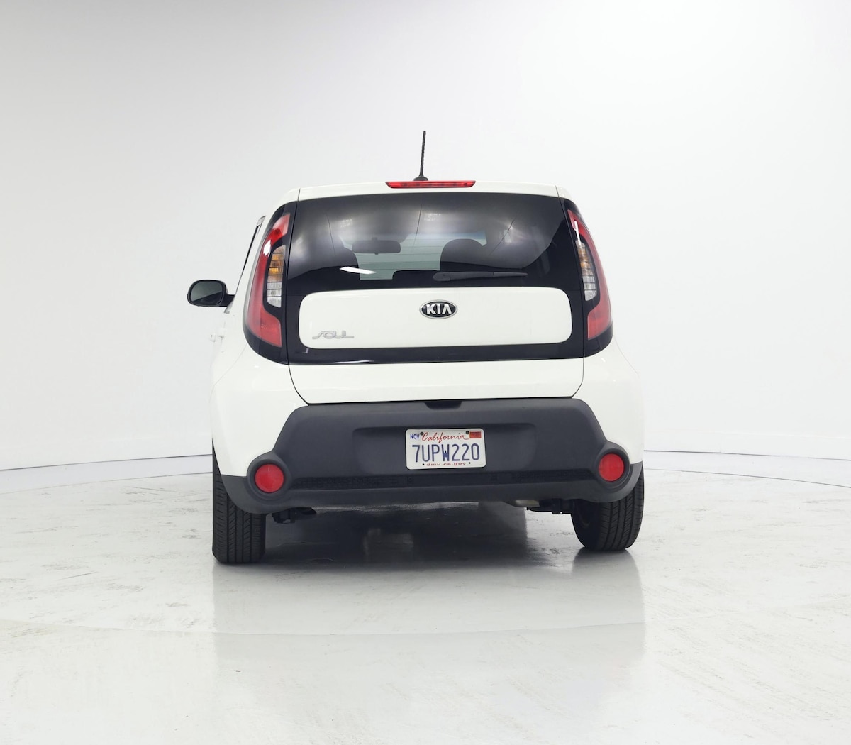 Rear