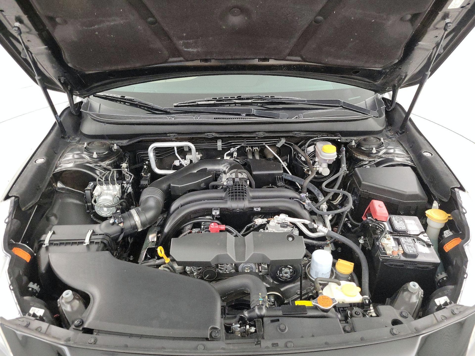 Photo 23