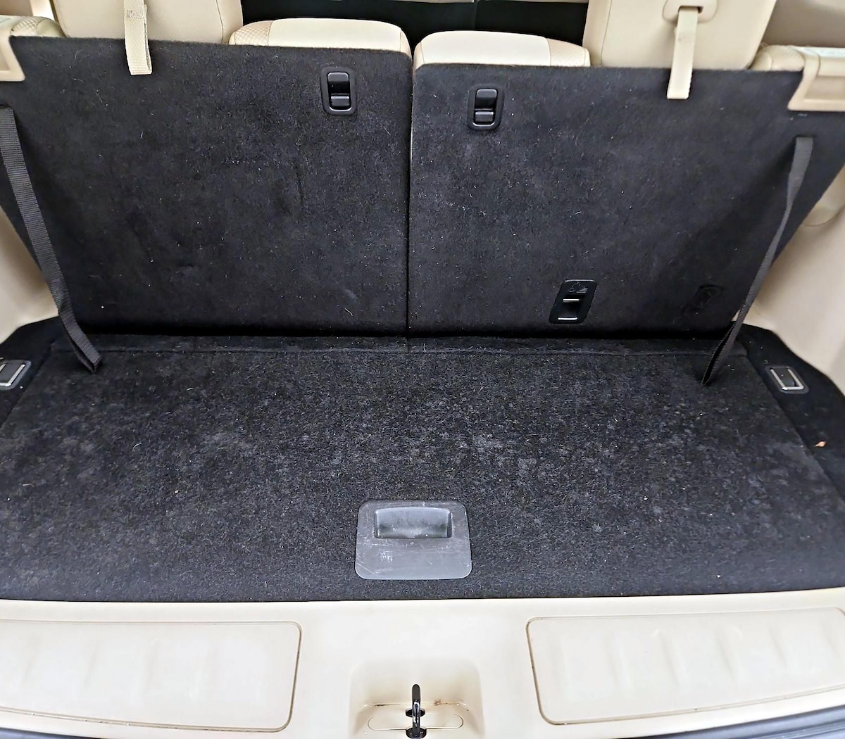 Trunk/Cargo (Seats Up)