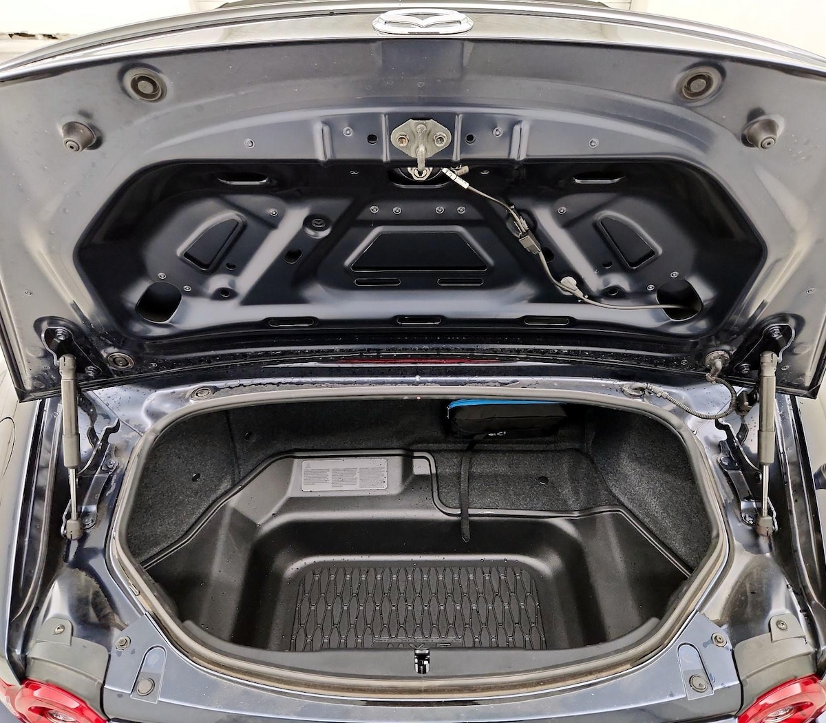 Trunk/Cargo (Seats Up)