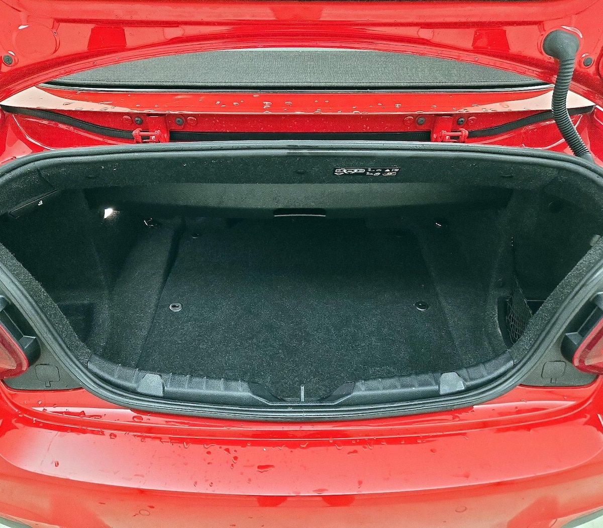 Trunk/Cargo (Seats Up)