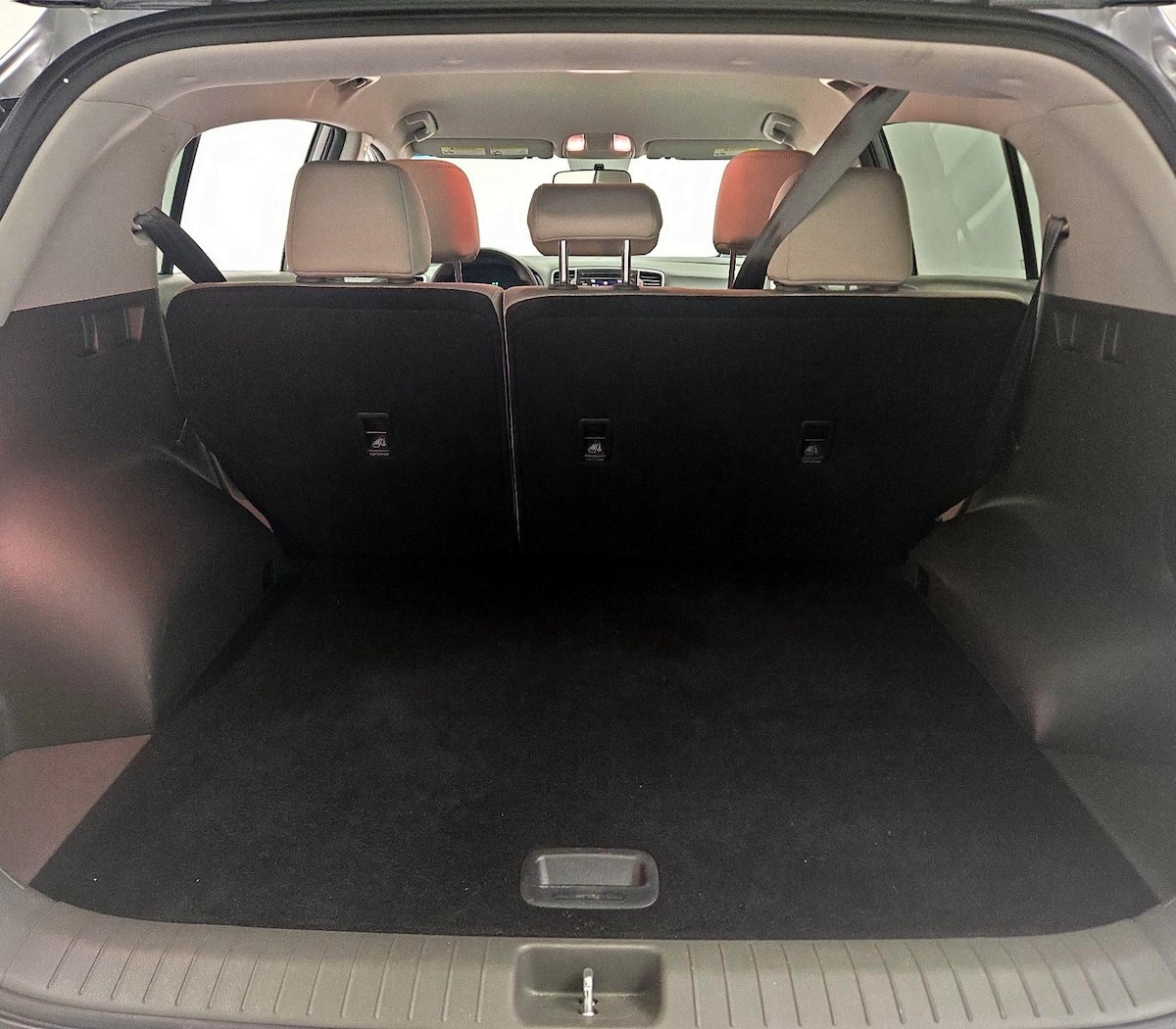 Trunk/Cargo (Seats Up)