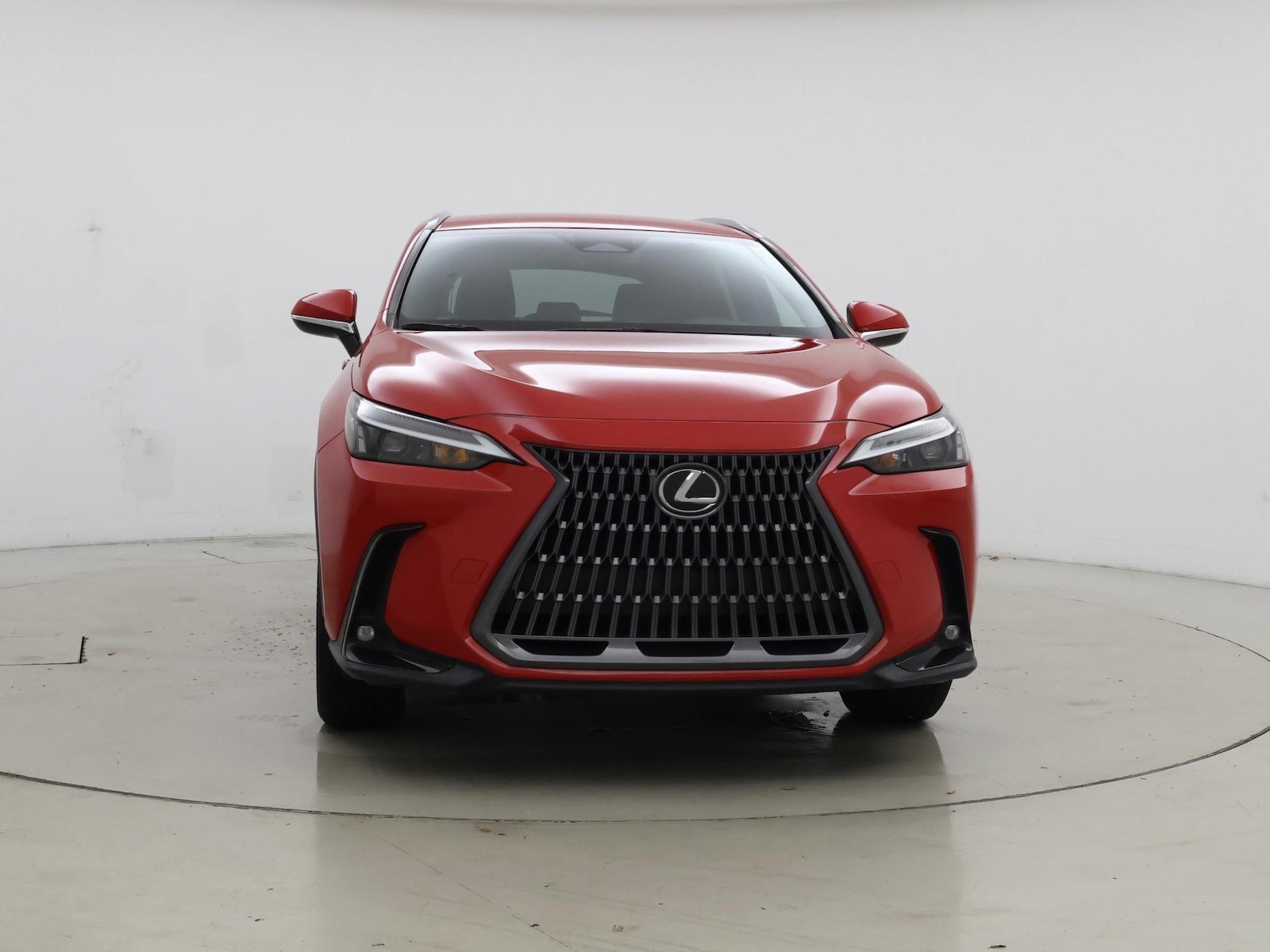 2024 Lexus NX 250 - Photo 6