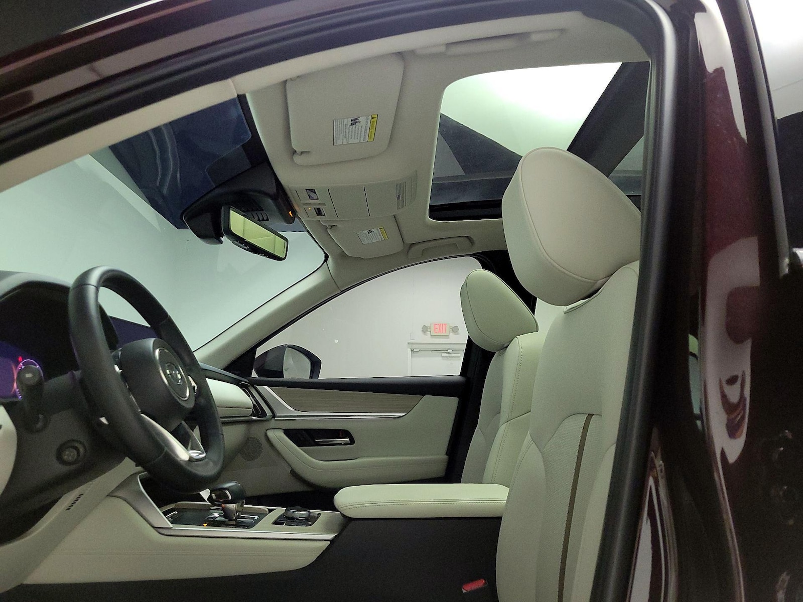 Panoramic Sunroof