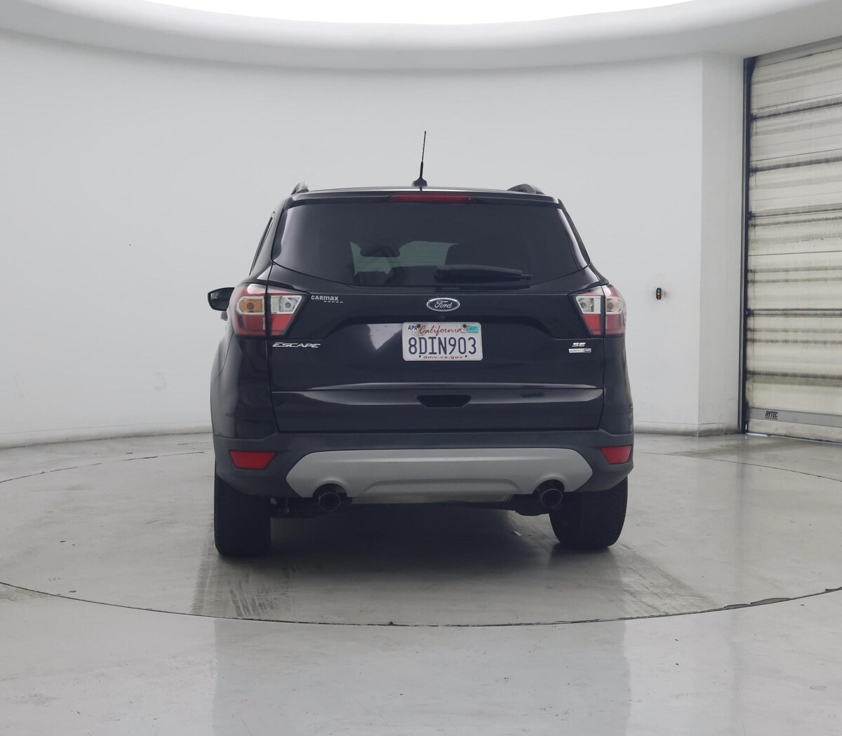 Rear