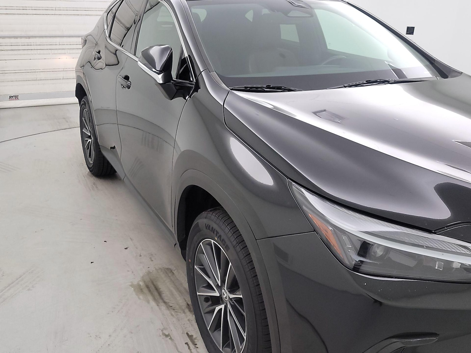 2024 Lexus NX