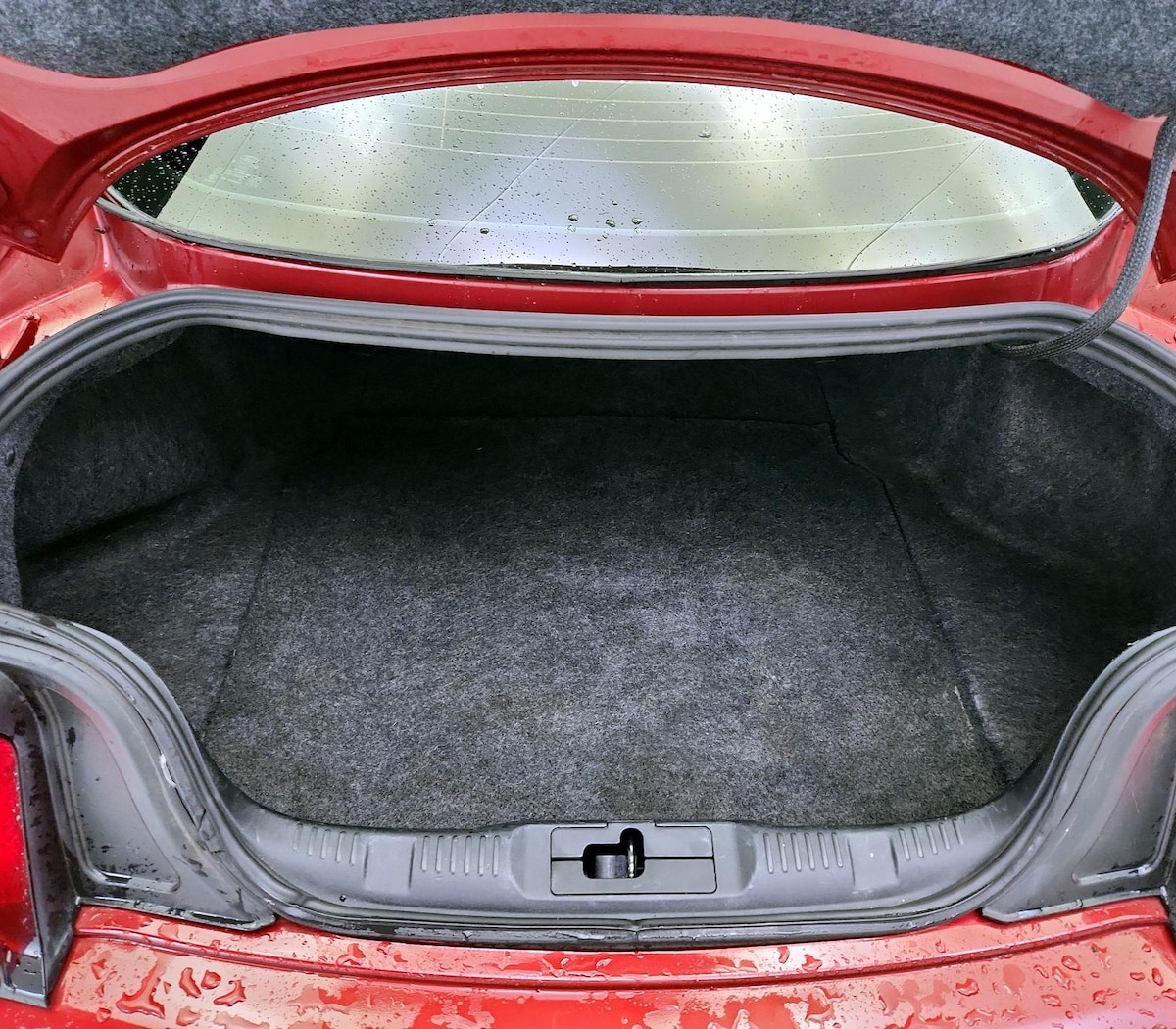 Trunk/Cargo (Seats Up)