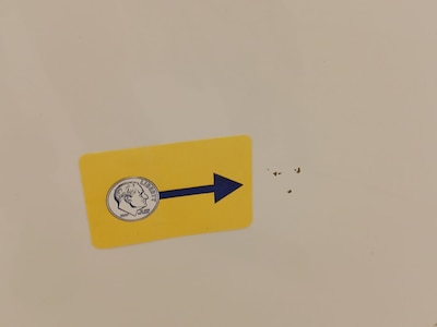 Condition detail