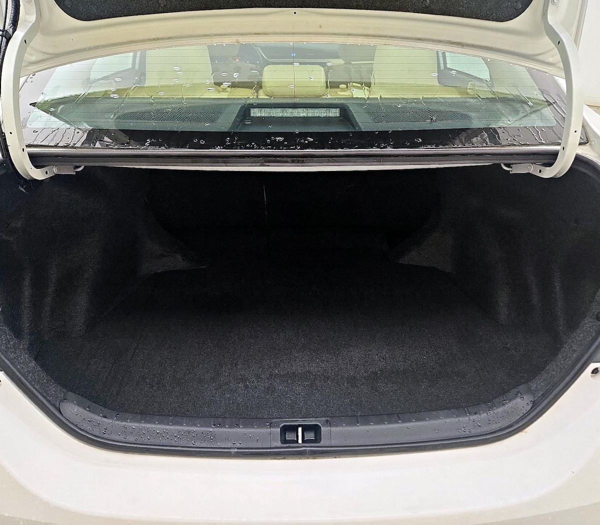 Trunk/Cargo (Seats Up)